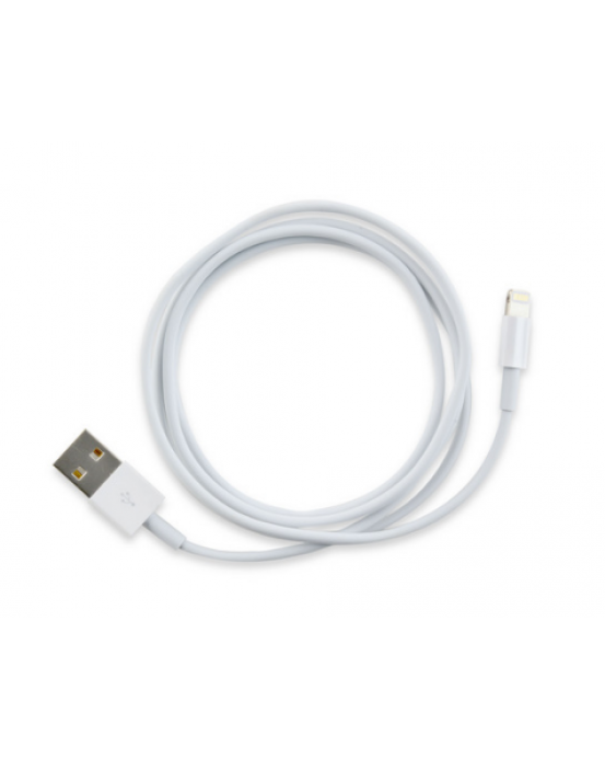 Apple iPad 4 Charging Connector