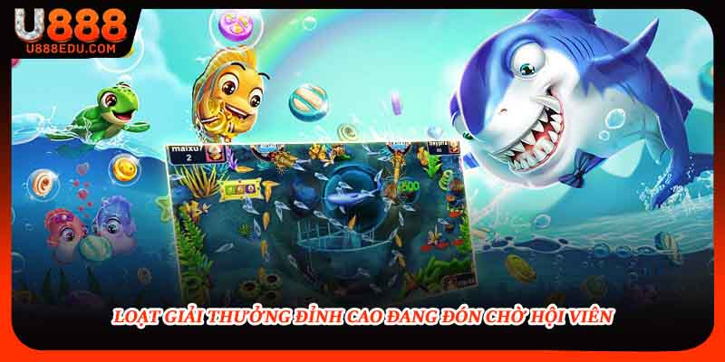 Loạt giải thưởng đỉnh cao đang đón chờ hội viên 